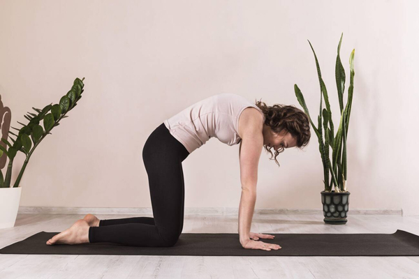 What is Somatic Yoga
